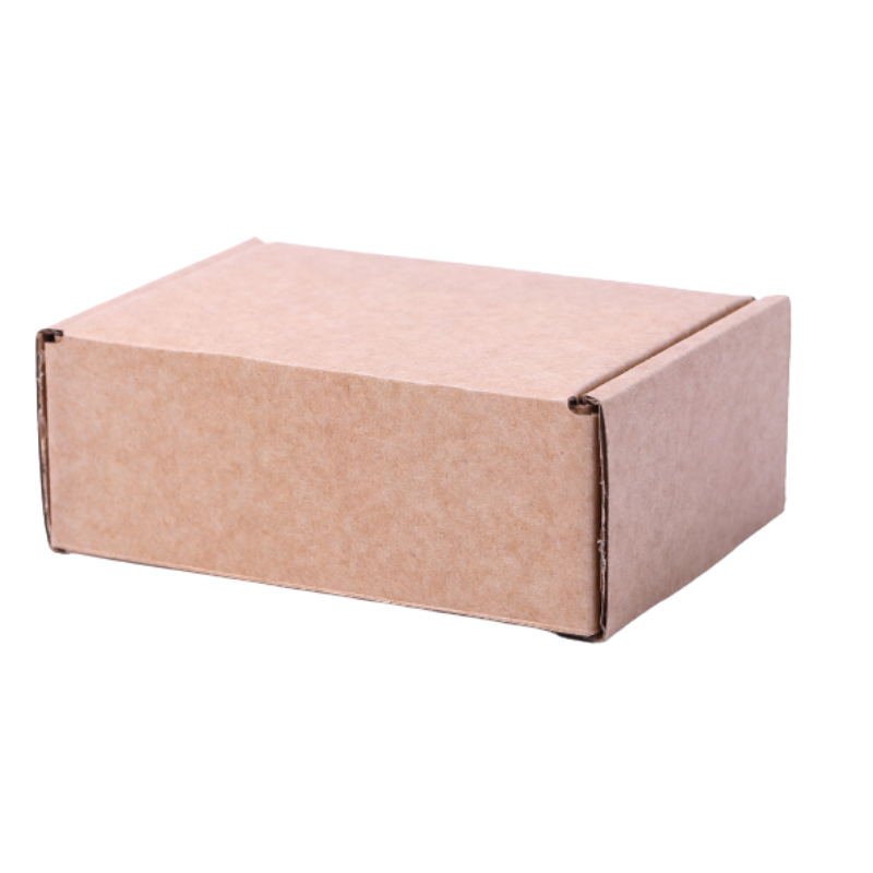 caja de carton autoarmable 20x12x10