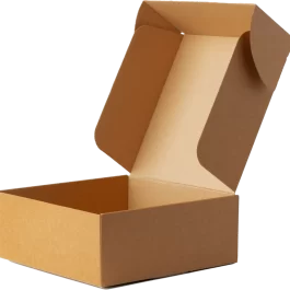 caja de carton autoarmable 25x20x15