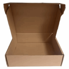 caja de carton autoarmable 25x25x5